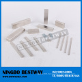 Factory Supply Various Magnet NdFeB